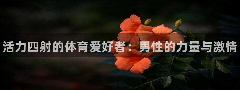 米兰体育官网下载招商电话号码查询是多少:活力四射的体育爱好者