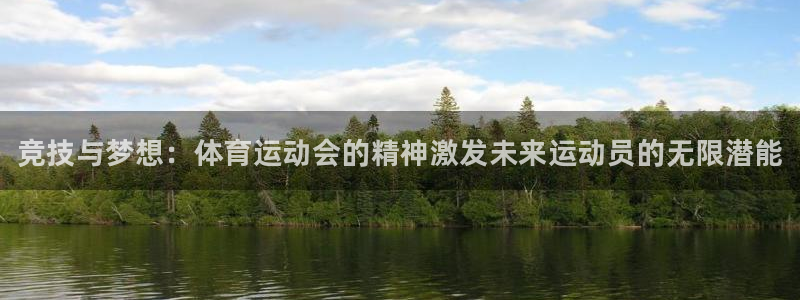 米兰体育官方正版app集团简介:竞技与梦想:体育运动会的精神
